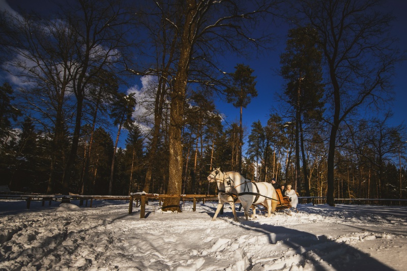 Zimska poroka na Brdu - ženin in nevesta