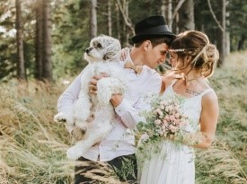 poročna obleka, poročni fotograf