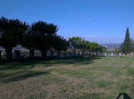 Poročni prostor, Bio Hotel Koper, poroka, Zaobljuba.si