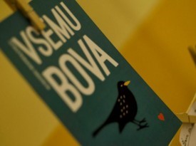 Sonja in Tomaž