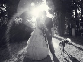 Poročna fotografija