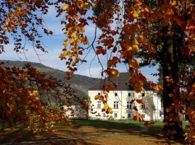 Dvorec Bukovje, poroka, poroka na dvorcu, poroka na Koroškem
