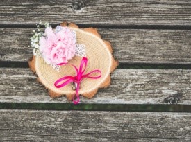 blanka kroflič, fbk, poročna fotografija, poroka, poročne fotografije, zaobljuba