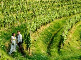 Poroka med vinogradi