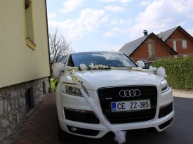 Poroka Saša in Sašo
