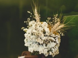 Poročni šopek: Kredenca. Foto: Lenart Zore.