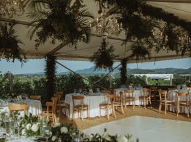 pogostitev, poročna pogostitev, catering, cattering, poroka, Super Catering
