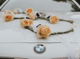 Poroka Jasmina in Aleksandar, Goran VK Wedding, Sanjska obleka, Zaobljuba.si