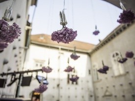 Jezeršek catering