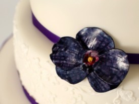 Torte Špela