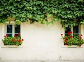 Poročna fotografija