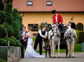 Poroka, mladoporočenca, ženin, nevesta