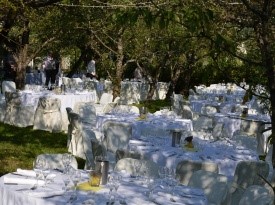 poročna pogostitev, vivo, catering, poroka, pogostitev, zabava, dekoracija