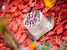 Cakepops, torta, poročna torta, poročne sladice, poročne slaščice, polonine sladke skrivnosti