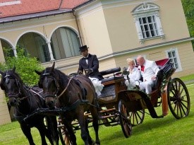 poroka, prevoz na poroko, kočija, prevoz s kočijo