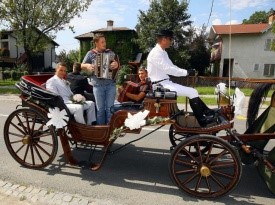 poroka, prevoz na poroko, kočija, prevoz s kočijo