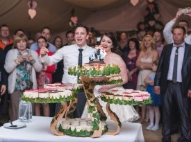 Cakepops, torta, poročna torta, poročne sladice, poročne slaščice, polonine sladke skrivnosti