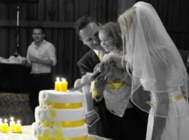 poročna torta, družina, mladoporočenca