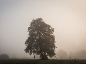 poročni fotograf, poročno fotografiranje, Tamara Bizjak, Zaobljuba.si