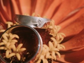 Poroka Tea in Gregor, poročni fotograf Goran VK, Zaobljuba.si