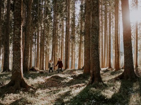 poročni fotograf, poročna fotografija, tinaanze, poroka