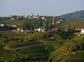 Lepa pokrajina Goriške Brde za poročno pogostitev.