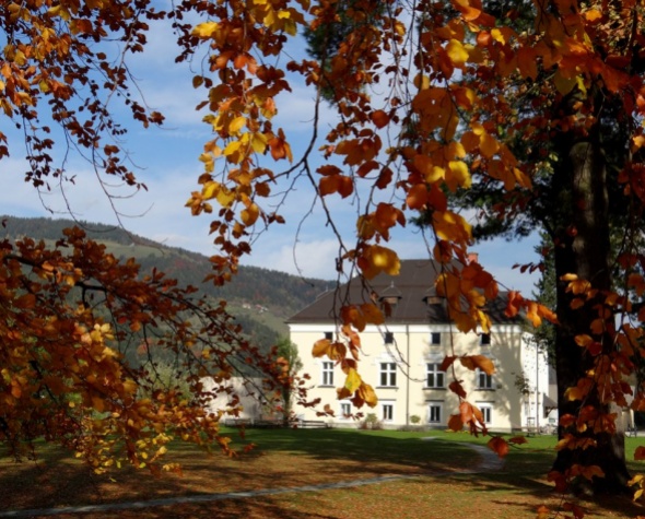 Dvorec Bukovje, poroka, poroka na dvorcu, poroka na Koroškem