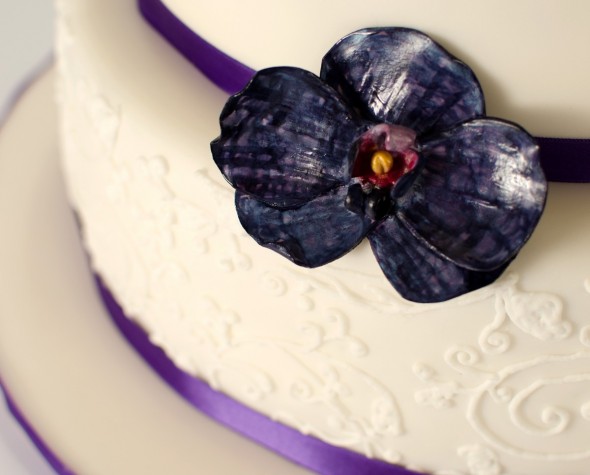 Torte Špela