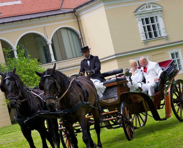 poroka, prevoz na poroko, kočija, prevoz s kočijo