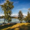 poročni fotograf, poročni par, poroka, zaobljuba