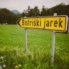 Poroka Cvetka in Roman Lesjak