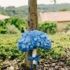 neža plestenjak, poroka, zaobljuba, ljubezen, poročni par