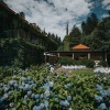 poročni prostor, poročna lokacija, vila široko, zaobljuba.si