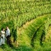 Poroka med vinogradi