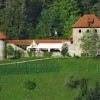 grad tabor laško, pavus restavracija, poroka, poročni prostor