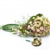 Gardenia