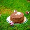 Cakepops, torta, poročna torta, poročne sladice, poročne slaščice, polonine sladke skrivnosti