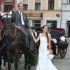 poroka, prevoz na poroko, kočija, prevoz s kočijo