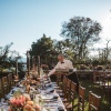 pogostitev, poročna pogostitev, catering, cattering, poroka, Super Catering