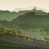 Vinogradi v Goriških Brdah, poročna pogostitev.