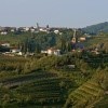 Lepa pokrajina Goriške Brde za poročno pogostitev.
